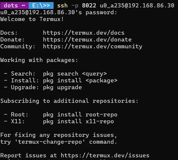 ssh-terminal-screenshot